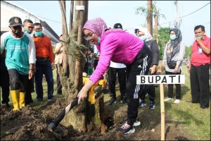 Bupati Purwakarta Mintembeyan Tanam Pohon Lame Peringati Hari Tanam Pohon Sedunia